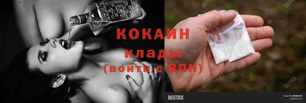 крисы Пересвет