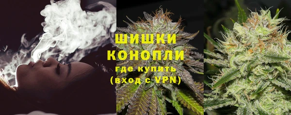 крисы Пересвет