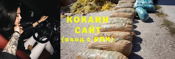 крисы Пересвет