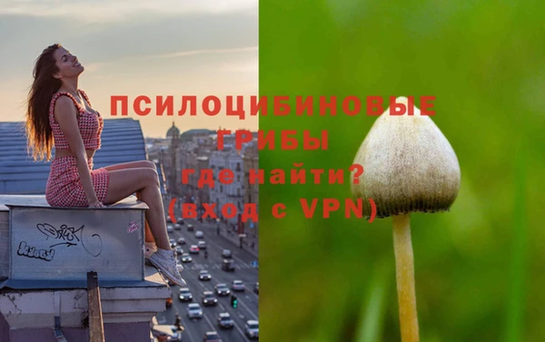 крисы Пересвет