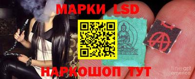 прущие грибы Кандалакша