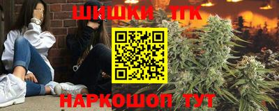хмурый Камышлов