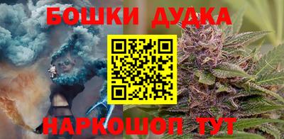 крисы Канаш