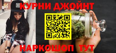 прущие грибы Кандалакша