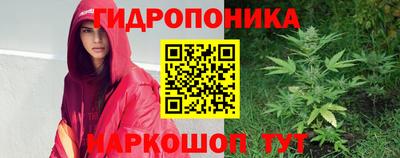 крисы Канаш