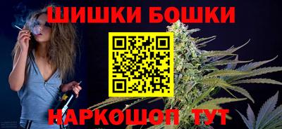 прущие грибы Кандалакша