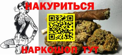 прущие грибы Кандалакша