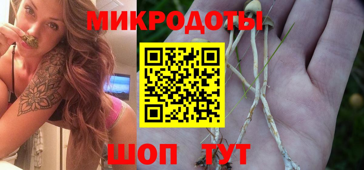 Галлюциногенные грибы Psilocybine cubensis  Вход с VPN  Лангепас 